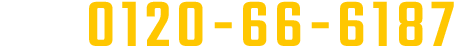 0120666187